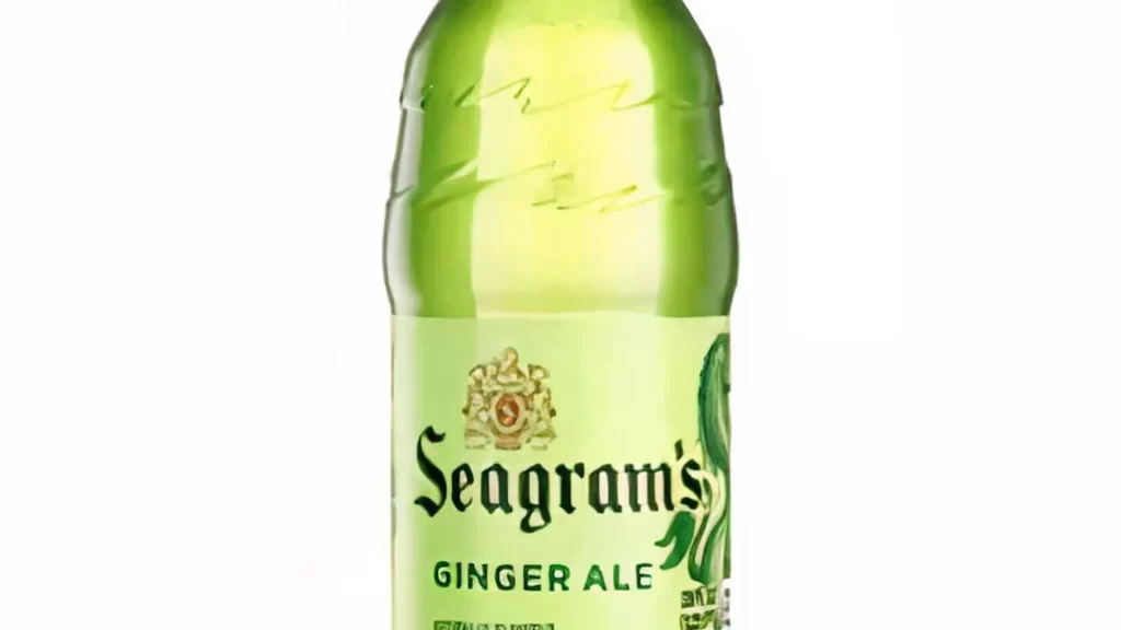 20oz BTL Ginger Ale